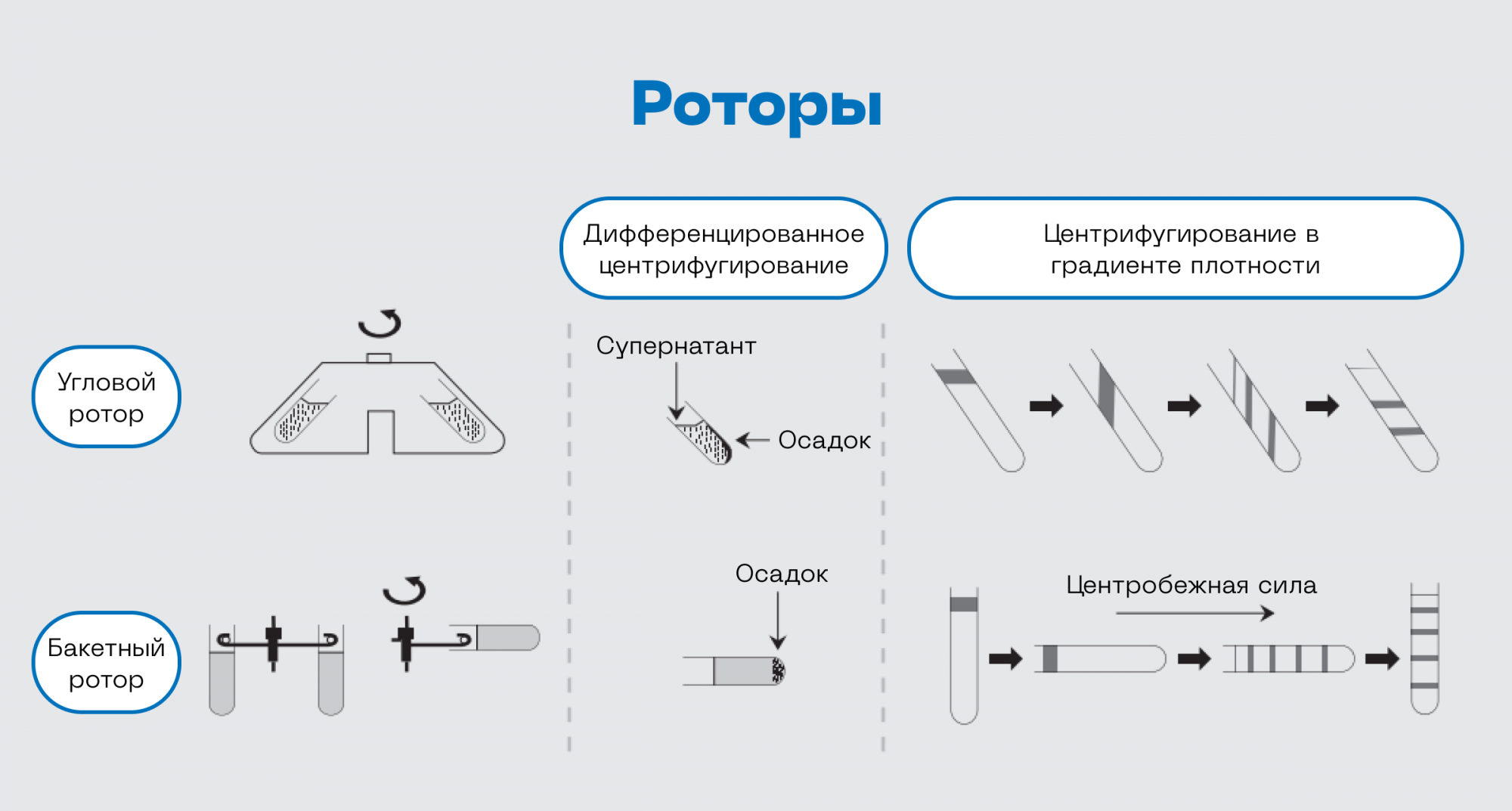 Роторы.png