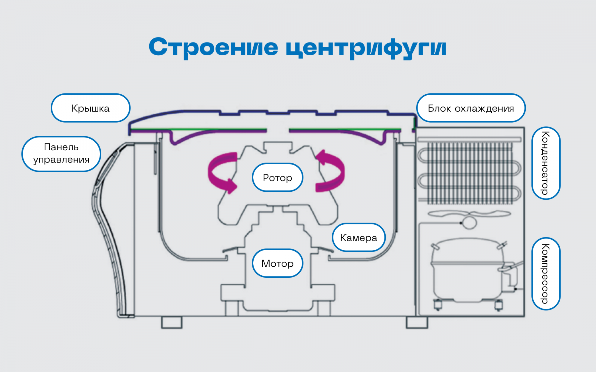 строение центрифуги.png
