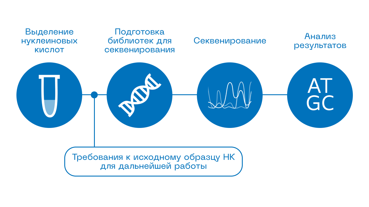 рис1.png