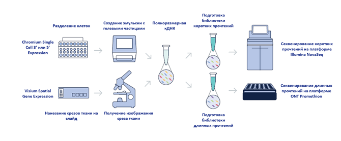 Проект эксперимента.png