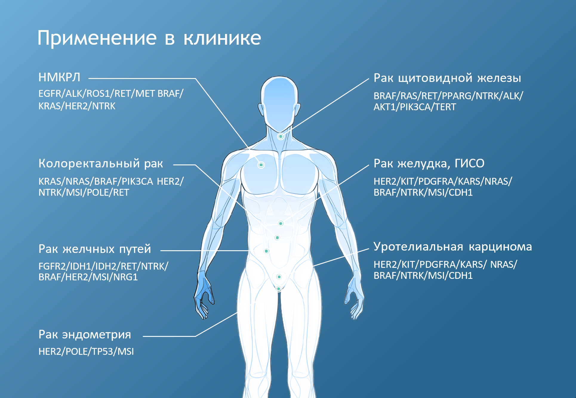 Photo_TrueSteady_Z-MASTER-Human-Tumor-Use.png