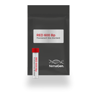 Mock-up-Size-Standard-RED-600-Bp копия.png