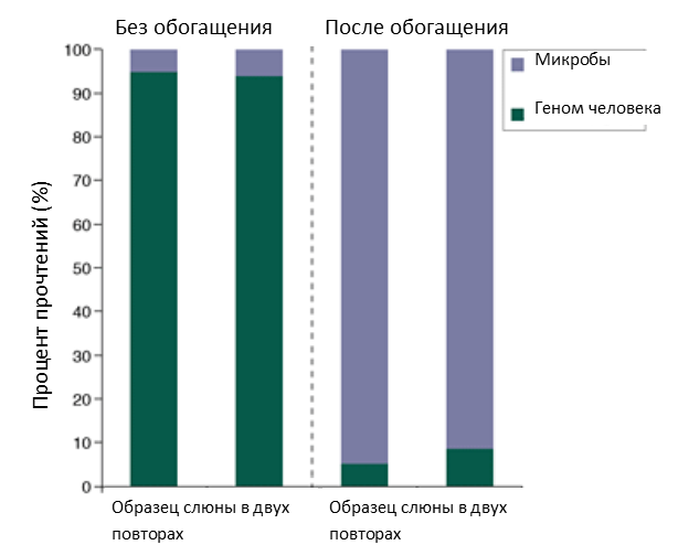 обзор_NEBNext2.png