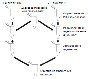 Схема протокола Tilling