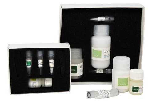 Набор prepGEM Bacteria для выделения ДНК из бактерий, MicroGEM