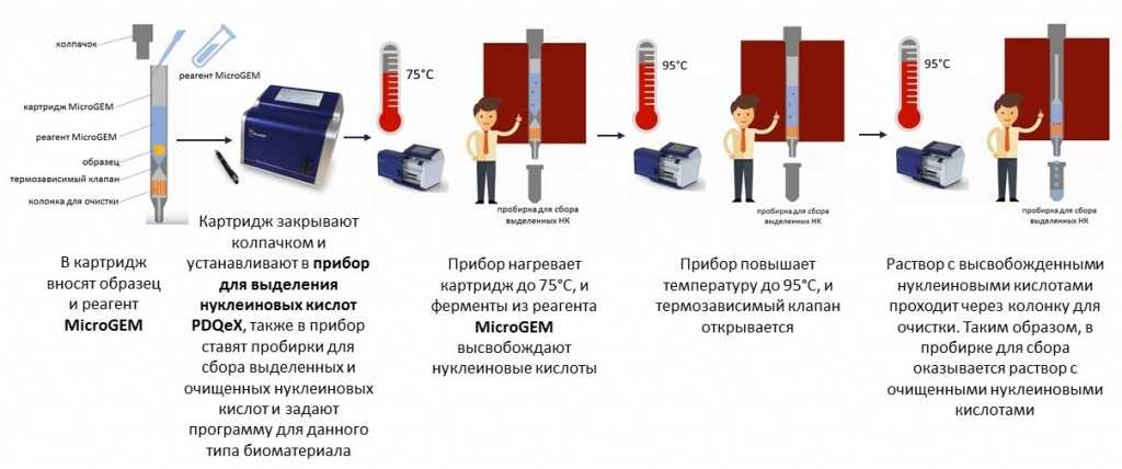 MicroGEM.jpg