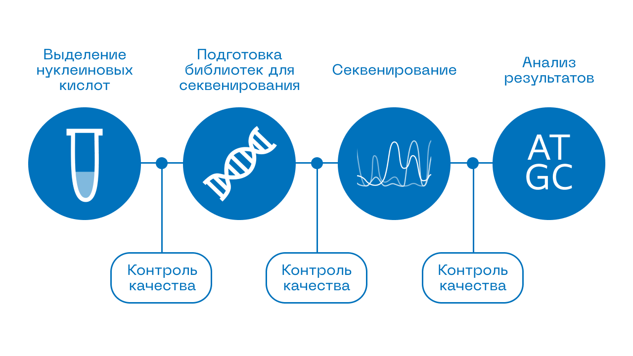 рис1.png
