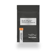 Mock-up-ExS-Pure копия.png