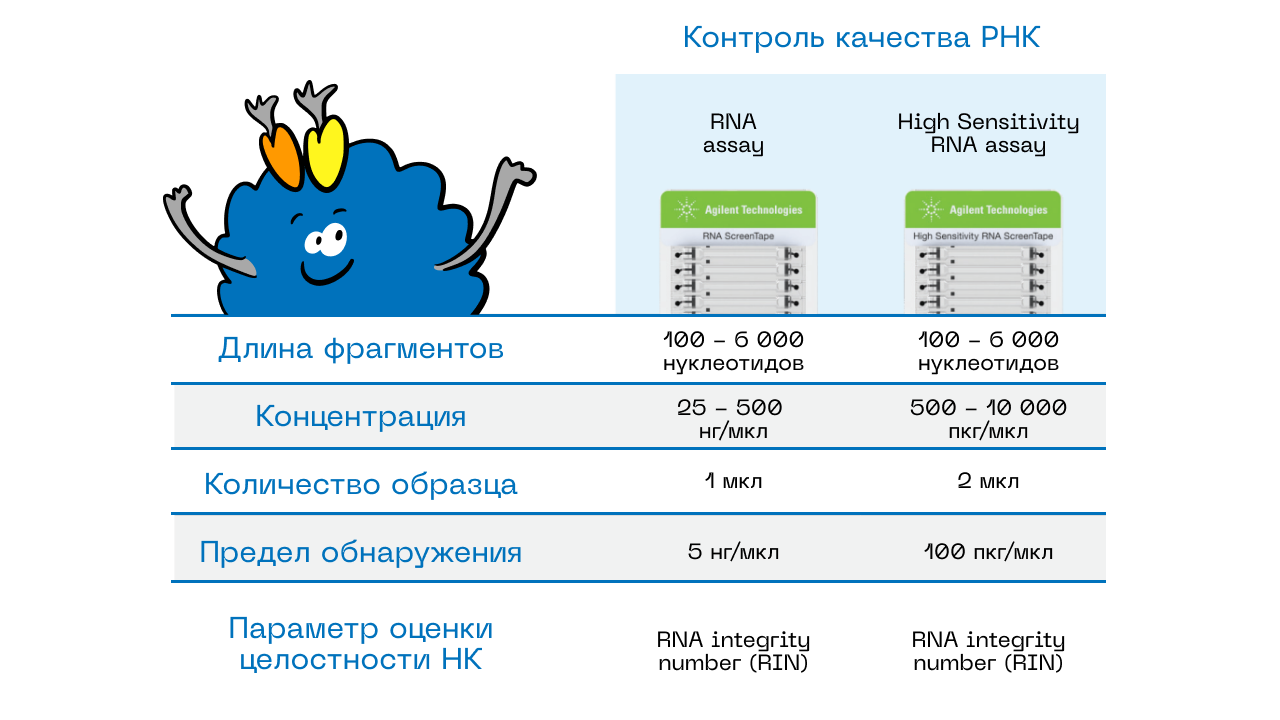 рис3.png