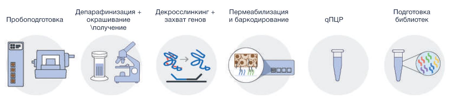 подготовка FFPE.JPG