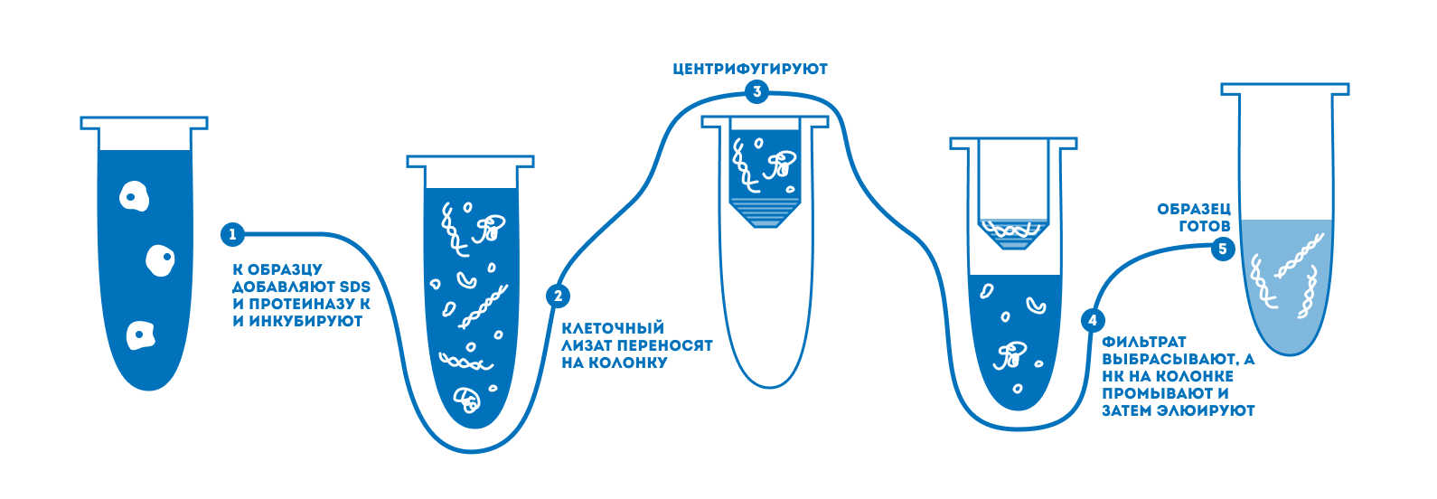 Выделение НК на спин-колонках.jpg