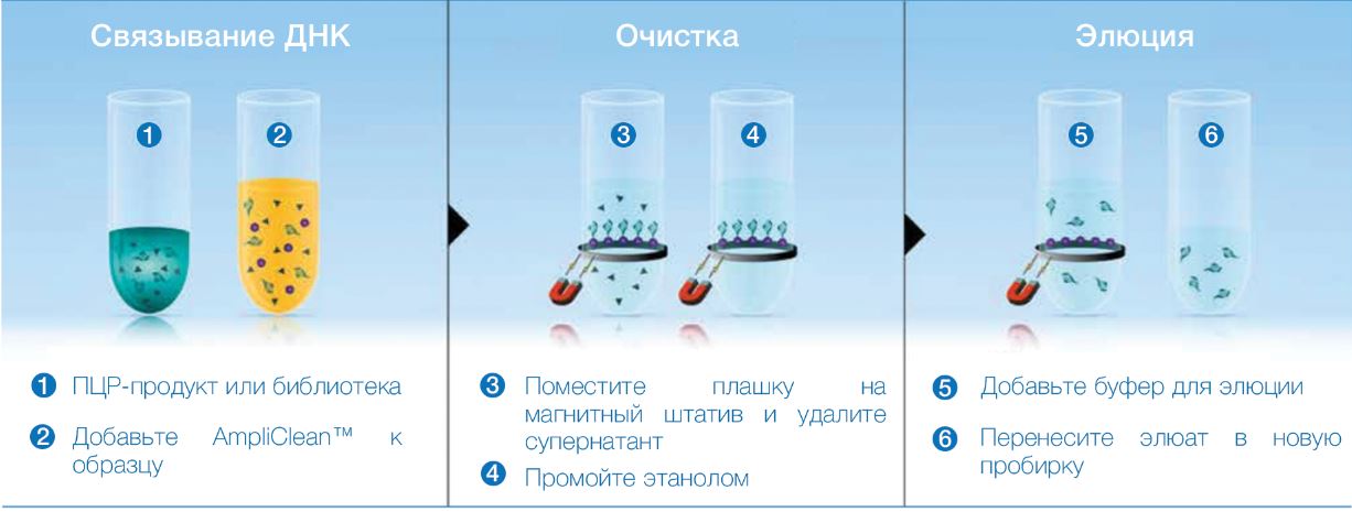 Схема работы AmpliClean.JPG