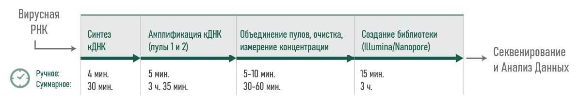 workflow ARTIC.jpg