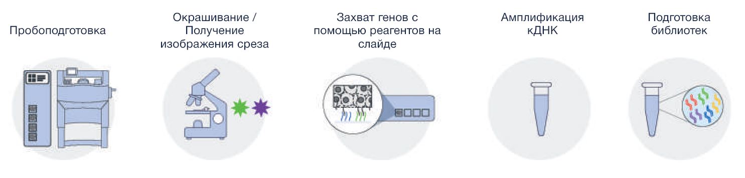 подготовка свежезамороженных тканей.JPG