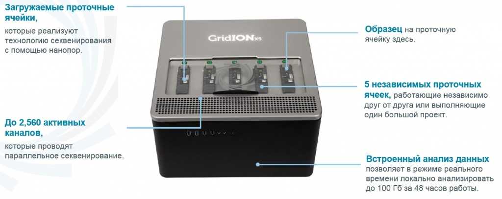 gridion.jpg