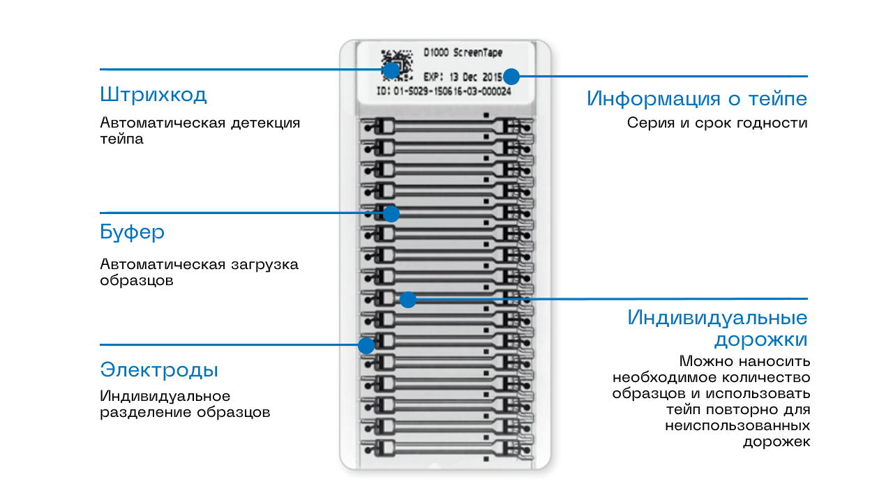 рис2.png
