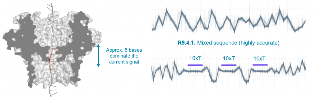 Строение проточных ячеек R9
